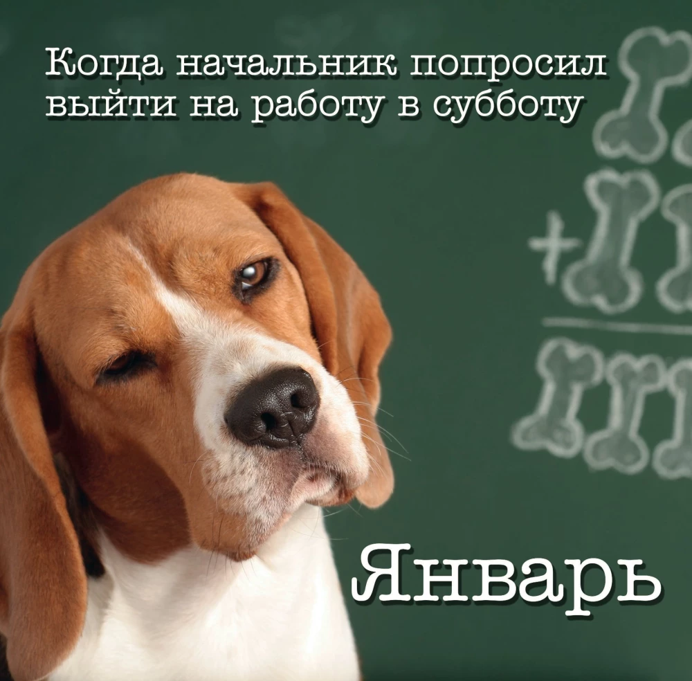 Календарь настенный на 2025 год. Офисные мемы